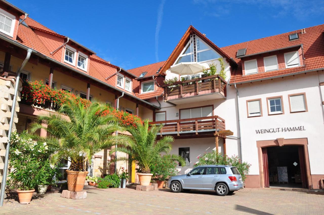 Апартаменты Wohnen Im Weingut Kirchheim an der Weinstrasse Экстерьер фото